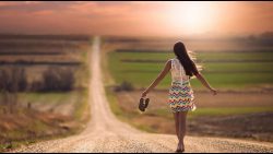 Mark Knopfler – The long road