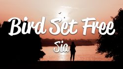 Sia – Bird set free
