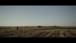 Sufjan Stevens – Should have known better