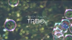 A Banda da Loba – Tribo