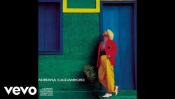 Adriana Calanhotto – Naquela estação