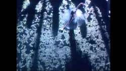 Alphaville - Dance with Me