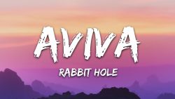 AViVA – Rabbit hole