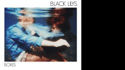 Black Lilys – Nightfall