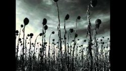 Dead Can Dance – Children of the Sun