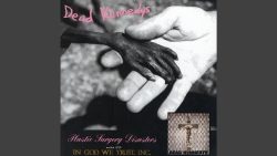 Dead Kennedys – Rawhide