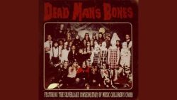 Dead Man’s Bones – In the room where you sleep
