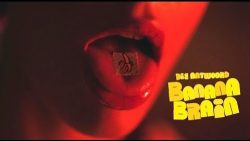 Die Antwoord – Banana brain
