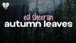 Ed Sheeran – Autumn leaves