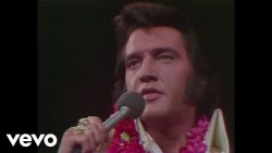 Elvis Presley – You gave me a mountain