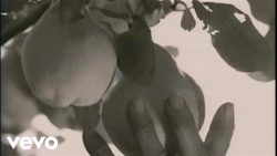 Enigma – Return to innocence