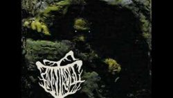 Finntroll – Rivfader