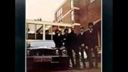 Flaming Groovies – Shake some action