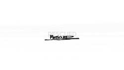 Foo Fighters – Rescued