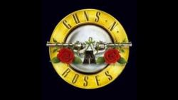 Guns n’ Roses – Mr Brownstone