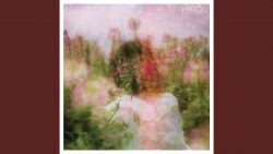Hibou – Dissolve