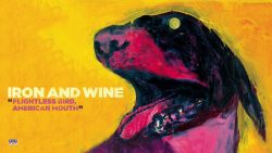Iron & Wine – Flightless bird, american mouth