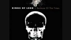 Kings of Leon – Fans