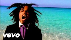 Lenny Kravitz – I build this garden for us