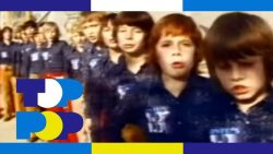 Les Poppys – Non non rien n’a changé