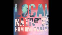 Local Natives – Mt. Washington