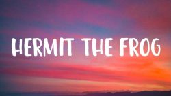 MARINA – Hermit the Frog