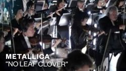 Metallica – No leaf cover