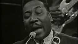 Muddy Waters – I’ve got my mojo working