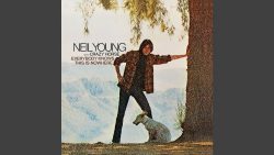 Neil Young – Cinnamon girl