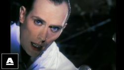 Peter Murphy – Strange kind of love