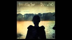 Porcupine Tree – Collapse the light into Earth