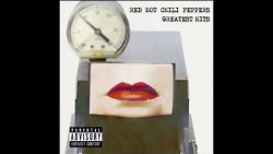 Red Hot Chili Peppers – Soul to squeeze
