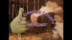 Rex Orange County – AMAZING