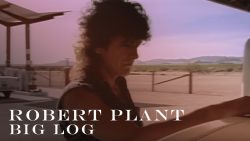 Robert Plant – Big log