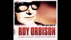 Roy Orbison – You got it