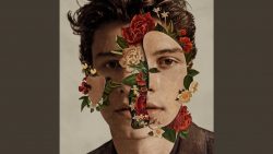 Shawn Mendes – Fallin’ all in you