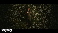 Shawn Mendes – In my blood
