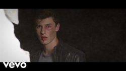 Shawn Mendes – Stitches