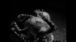 Suki Waterhouse – To love