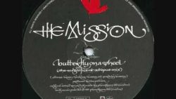 The Mission UK – Butterfly on a wheel