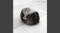 The National – I should live in salt