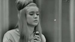 The Shangri-Las – Leader of the pack