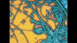 The Strokes - Soma