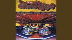 The Waterboys – A man is in love