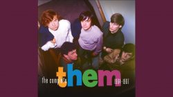 Them – Baby please don’t go