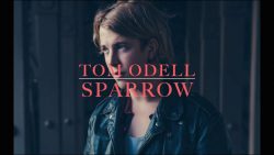 Tom Odell – Sparrow
