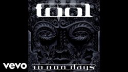 Tool – The pot