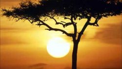 Vicky Sampson – Afrikan dream