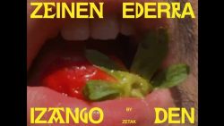 ZETAK – Zeinen Ederra Izango Den