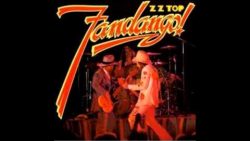 ZZ Top – Mexican blackbird